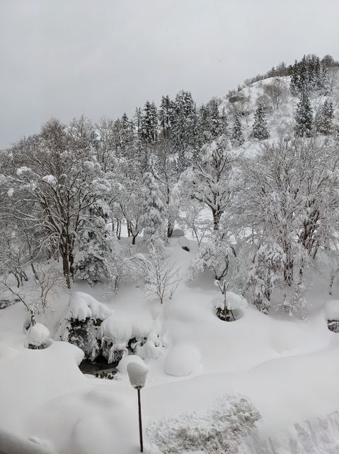 新年明けましておめでとうございます。