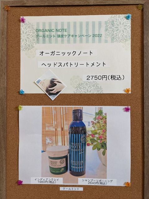 第二弾　オーガニックノート頭皮ケアキャンペーン‼
