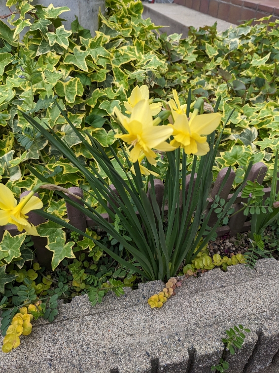 PXL_20230414_230749634.jpg