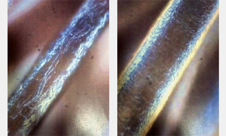 before_after.jpg